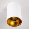 Plafonnier Grenada Or, Blanc, 1 lumière