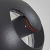 Applique murale d'extérieur Nyborg LED Anthracite, 1 lumière