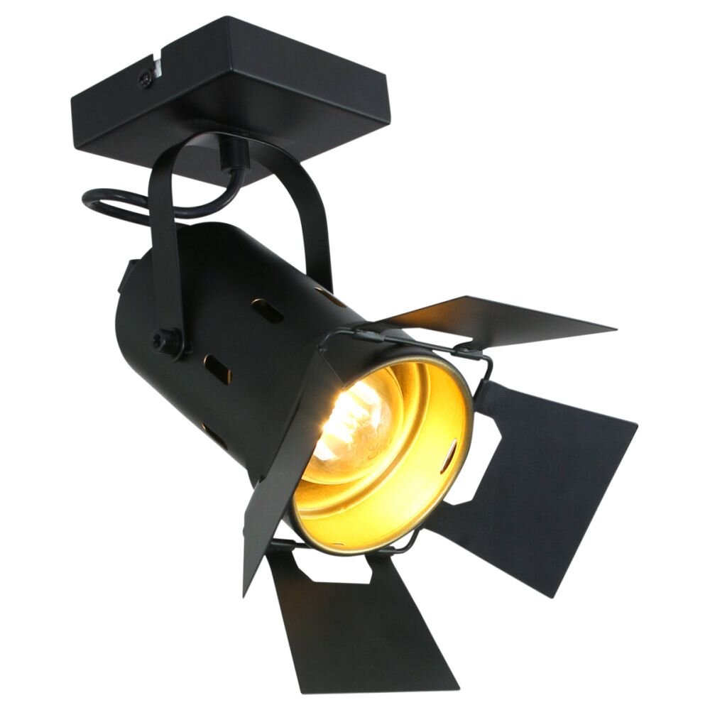 Plafonnier Steinhauer Woschnik Noir, 1 lumière main product photo