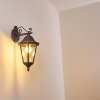 Applique murale d'extérieur Lignac Noir, 1 lumière