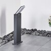 Borne lumineuse Heraklion LED Anthracite, 1 lumière
