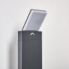 Borne lumineuse Heraklion LED Anthracite, 1 lumière