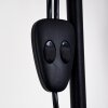 Lampadaire Barbengo Bois clair, Noir, 2 lumières