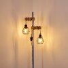 Lampadaire Barbengo Bois clair, Noir, 2 lumières
