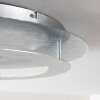 Plafonnier Springdale LED Argenté, 4 lumières