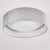 Plafonnier Tallaboa LED Blanc, 1 lumière