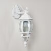 Applique murale d'extérieur Lentua Blanc, 1 lumière