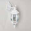 Applique murale d'extérieur Lentua Blanc, 1 lumière