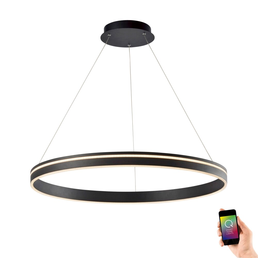 Suspension Paul Neuhaus Q-VITO LED Anthracite, 1 lumière, Télécommandes main product photo