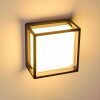 Applique murale d'extérieur Lysabild LED Noir, 1 lumière
