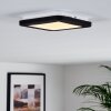 Plafonnier Siguna LED Blanc, 1 lumière