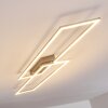 Plafonnier Veyrier LED Acier brossé, 2 lumières