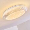 Plafonnier Burton LED Blanc, 1 lumière