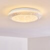 Plafonnier Burton LED Blanc, 1 lumière