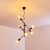 Suspension Coppet Noir doré, 6 lumières