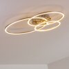 Plafonnier Chilkat LED Nickel mat, 1 lumière