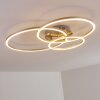 Plafonnier Chilkat LED Nickel mat, 1 lumière