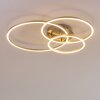 Plafonnier Chilkat LED Nickel mat, 1 lumière