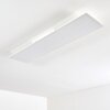 Plafonnier Antria LED Blanc, 1 lumière, Télécommandes, Changeur de couleurs