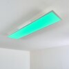 Plafonnier Antria LED Blanc, 1 lumière, Télécommandes, Changeur de couleurs