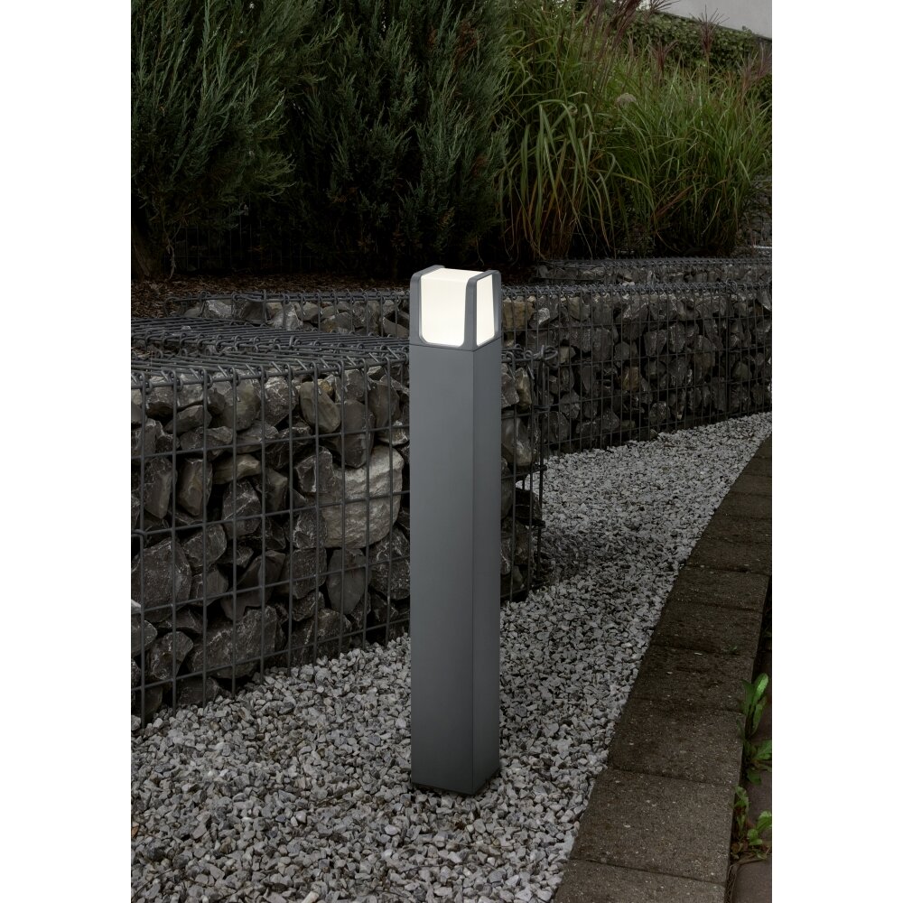 Lampadaire Trio EBRO LED Anthracite, 1 lumière main product photo