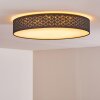 Plafonnier Temuka LED Noir, Blanc, 1 lumière, Télécommandes