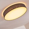 Plafonnier Temuka LED Noir, Blanc, 1 lumière, Télécommandes