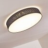 Plafonnier Temuka LED Noir, Blanc, 1 lumière, Télécommandes