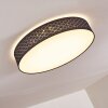 Plafonnier Temuka LED Noir, Blanc, 1 lumière, Télécommandes