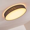 Plafonnier Temuka LED Noir, Blanc, 1 lumière, Télécommandes