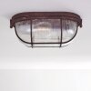 Plafonnier Catawba Rouille, 1 lumière
