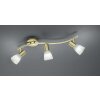 Spot Trio LEVISTO LED Laiton, 3 lumières