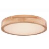 Plafonnier Globo WEDIO LED, 1 lumière, Télécommandes