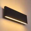 Applique murale Obion LED Anthracite, 2 lumières