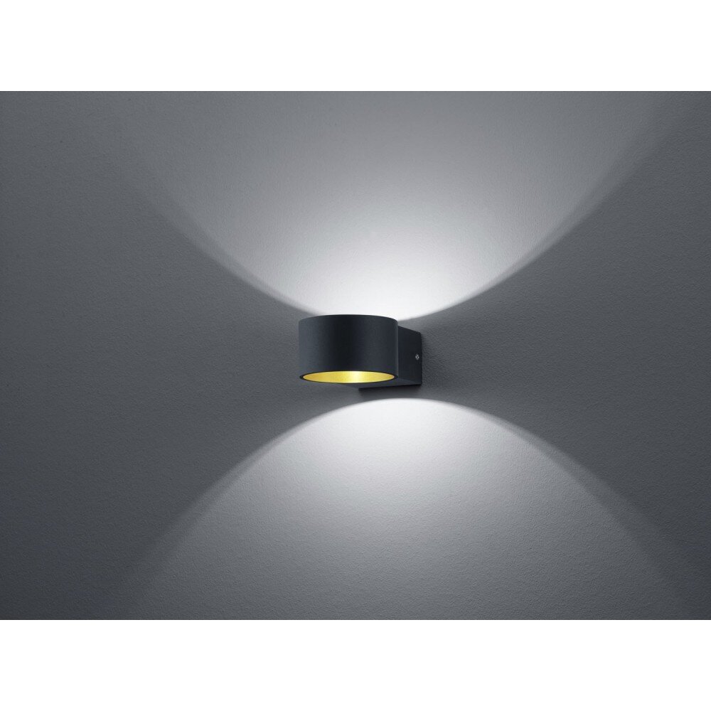Applique murale Trio LACAPO LED Noir, 1 lumière main product photo
