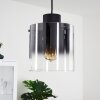 Suspension Wichita Fumée, Noir, 1 lumière