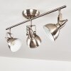 Plafonnier Tina Nickel mat, 3 lumières
