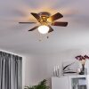 Ventilateur de plafond Trillo Gris, Bois clair, Nickel mat, 1 lumière