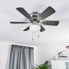 Ventilateur de plafond Trillo Gris, Bois clair, Nickel mat, 1 lumière