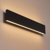 Applique murale Obion LED Noir, 2 lumières