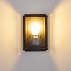 Applique murale d'extérieur Tieva Noir, 1 lumière