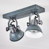 Plafonnier Gudo Gris, Argenté, 2 lumières
