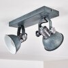 Plafonnier Gudo Gris, Argenté, 2 lumières